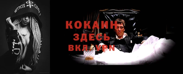 мяу мяу мука Абаза
