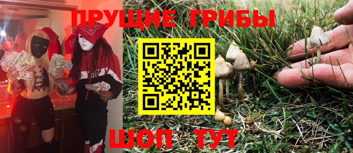 Галлюциногенные грибы мухоморы  Вход с VPN  Старая Купавна 